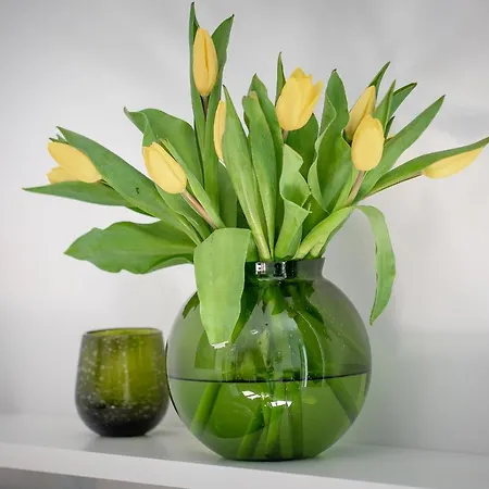 公寓 Ksiezycowy - Mlyn Maria - Art